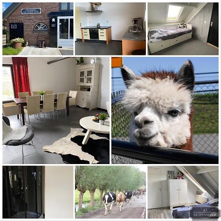 Herberg Boerderij De Straat-Hof Bed & Breakfast Leimuiden ภายนอก รูปภาพ