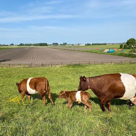 Herberg Boerderij De Straat-Hof Bed & Breakfast Leimuiden ภายนอก รูปภาพ