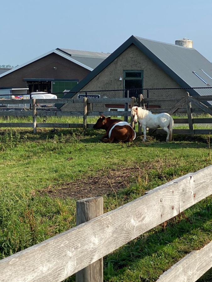 Herberg Boerderij De Straat-Hof Bed & Breakfast Leimuiden ภายนอก รูปภาพ
