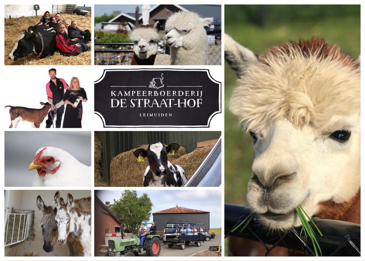 Herberg Boerderij De Straat-Hof Bed & Breakfast Leimuiden ภายนอก รูปภาพ