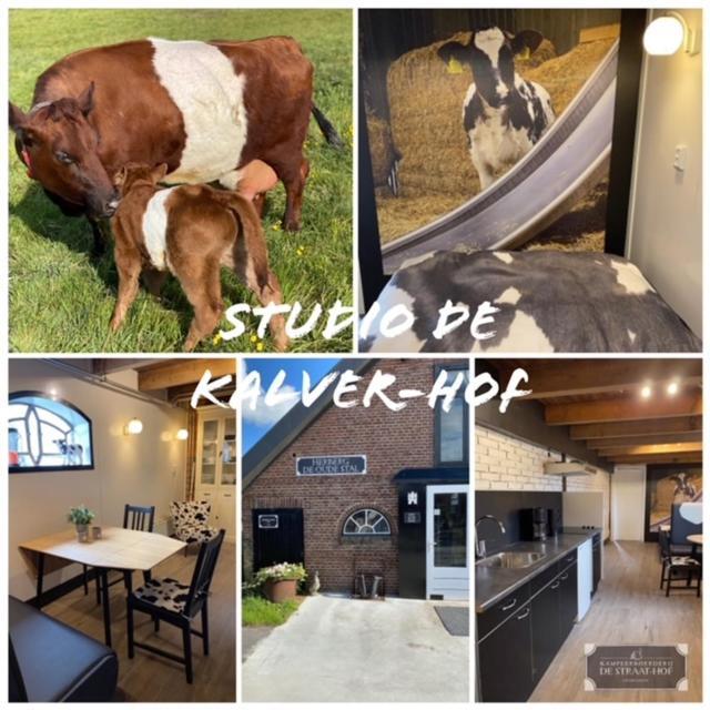 Herberg Boerderij De Straat-Hof Bed & Breakfast Leimuiden ภายนอก รูปภาพ