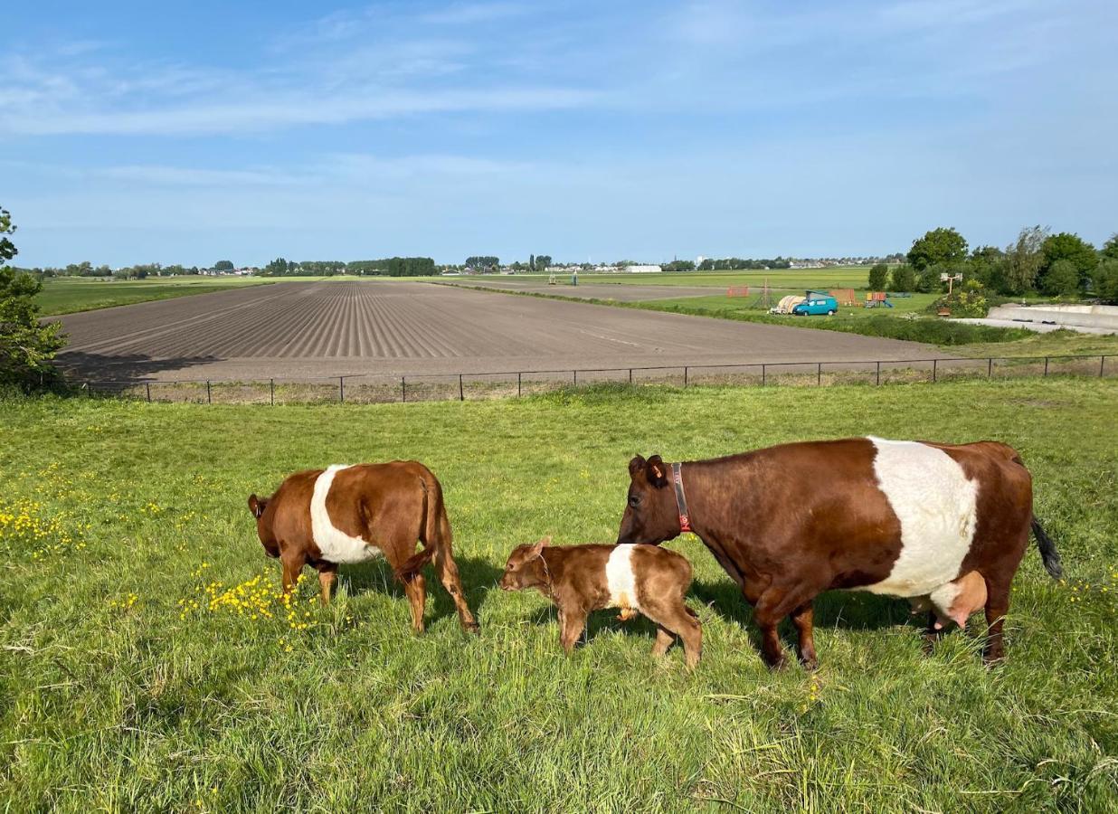 Herberg Boerderij De Straat-Hof Bed & Breakfast Leimuiden ภายนอก รูปภาพ